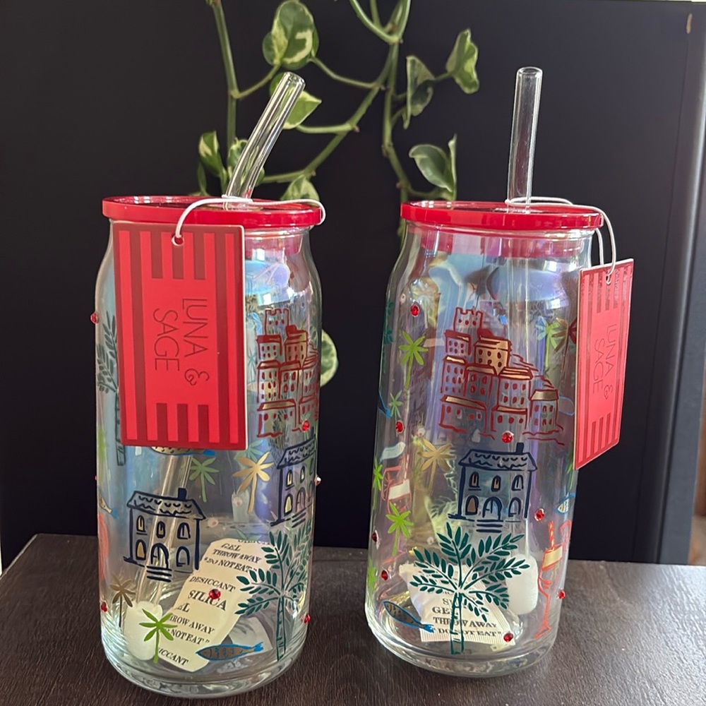 Luna & Sage Glass Tumblers
